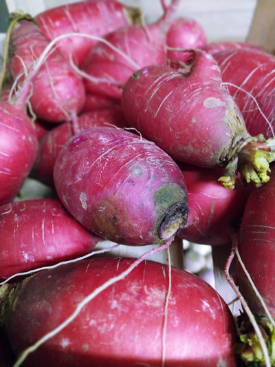 Radis Radis Delipink (500g) Les légumes Arnaud - La Ferme d'Arnaud - Coutiches