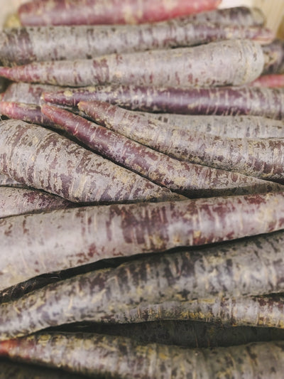 Carottes Sun violette (kg) Les légumes Arnaud - La Ferme d'Arnaud - Coutiches