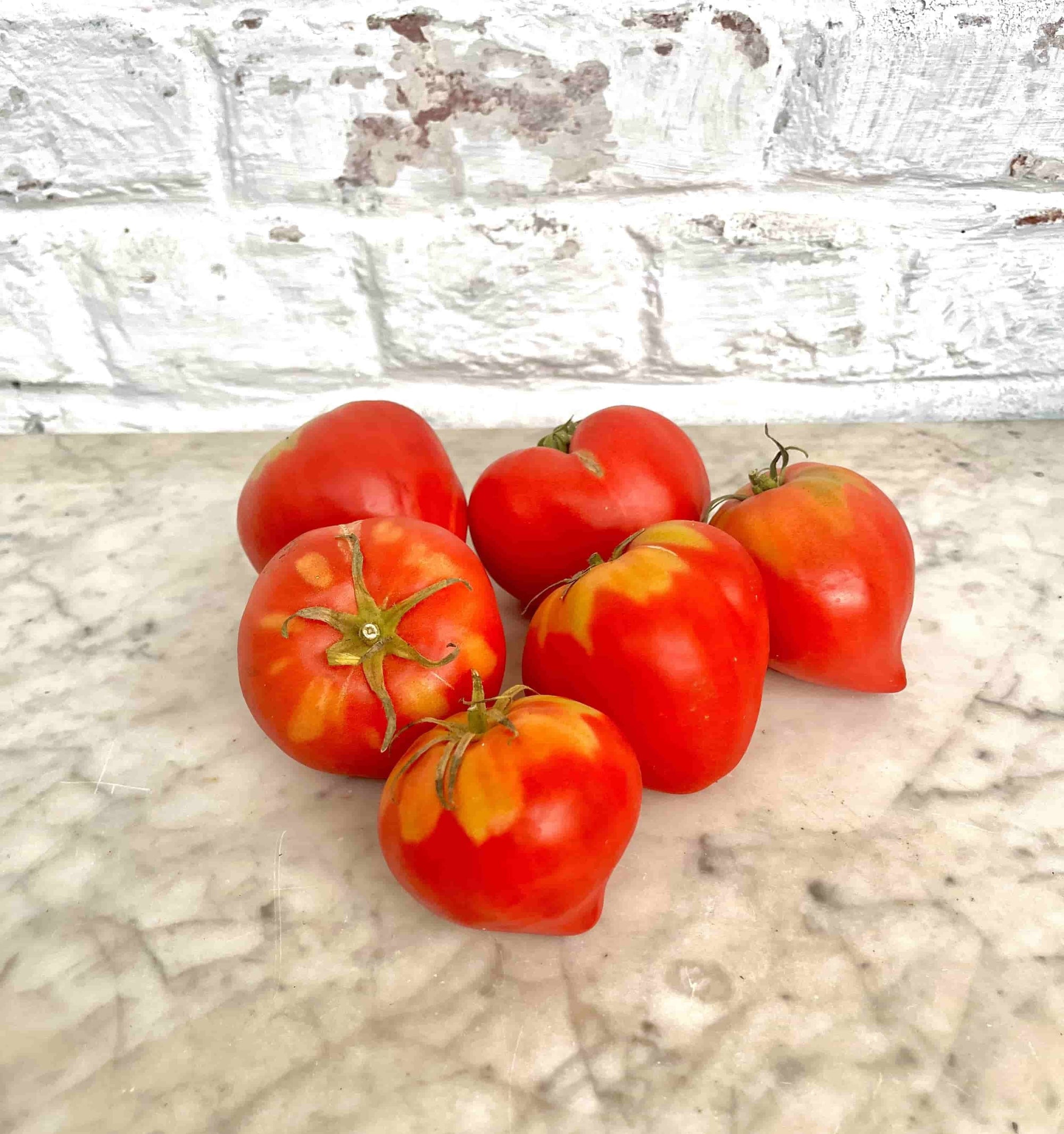 Tomate pointu des andes bio (800g) Les légumes Guillaume Pinte - Arleux en gohelle