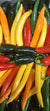 Piments mixtes (250g) Les légumes Xavier - La sélection de fruits et légumes de Guy Lagache - Lomme