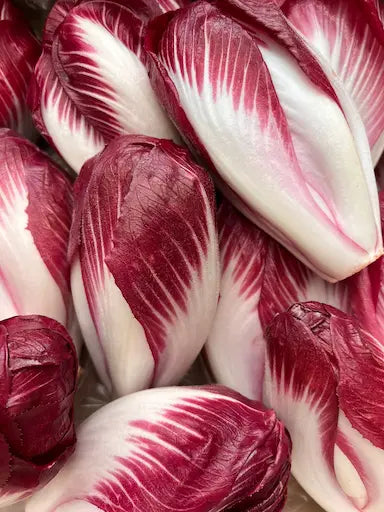 Endive Carmine du Pévèle (500g) Les légumes René - De Meyer - Bourghelles