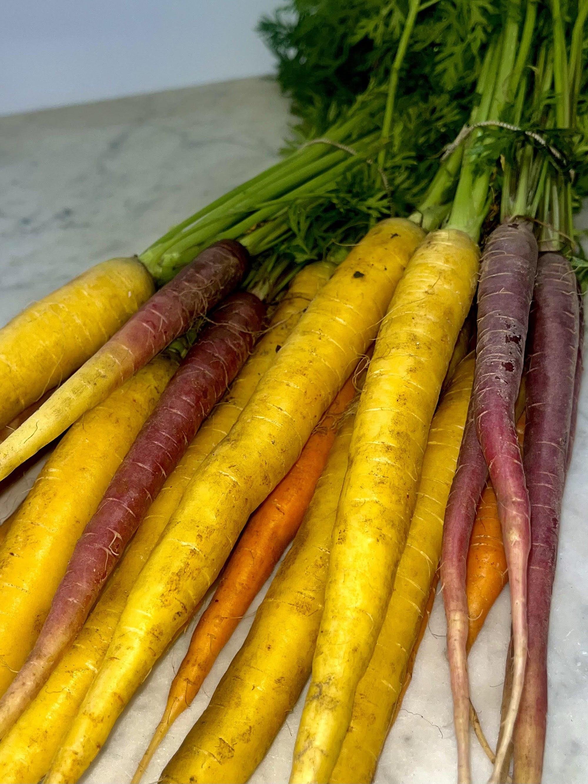 Carottes multicolores (botte) Les légumes Arnaud - La Ferme d'Arnaud - Coutiches