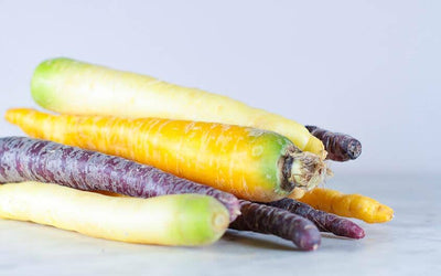 Carottes colorées bio (botte) Les légumes bio Guillaume Pinte - Arleux en gohelle