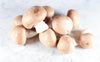 Champignons rosés bio (200g) Les légumes bio Jerôme - Le marais bio d'Ecou - Tilques