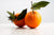 Orange sanguine bio (1 kg) Les fruits bio LES DOMAINES DE LA TASTE