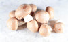 Champignon rosé bio (200g) Les légumes bio Lomme Primeurs Bio - Lomme