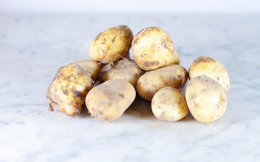 Pommes de terre charlotte bio (1kg) Les légumes bio Philippe Lallau - Bailleul