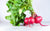 Betteraves bio (botte) Les légumes bio Nicolas - La Ferme des 4 vents - Hem