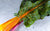 Blettes colorées bio (botte) Les légumes bio Dries Delanote - Le monde des mille couleurs - Dikkebus Belgique