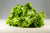 Salade batavia verte conversion bio (pièce) Les légumes bio Alain Pitten - Ferme du Recueil - Villeneuve d'Ascq