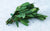 Laurier Bio (bouquet) Les légumes bio Spenninck - Lomme