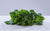 Mâche bio (100g) Les légumes bio Nicolas - La Ferme des 4 vents - Hem
