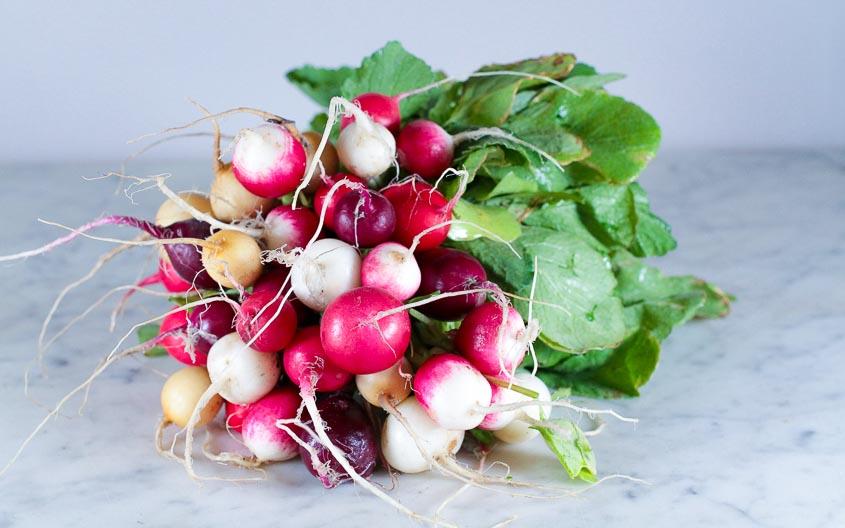 Radis ronds multicolores en conversion bio (botte) Les légumes bio Marion - Le chant des légumes - Herlies