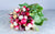 Radis ronds multicolores en conversion bio (botte) Les légumes bio Marion - Le chant des légumes - Herlies