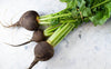 Radis noir bio (1kg) Les légumes bio Nathalie - Les Serres des Près - Villeneuve d'Ascq