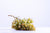 Raisin muscat blanc (500g) Les fruits bio Lomme Primeurs Bio - Lomme