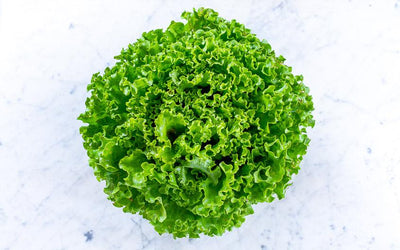 Salade batavia verte bio (pièce) Les légumes bio Nicolas - La Ferme des 4 vents - Hem