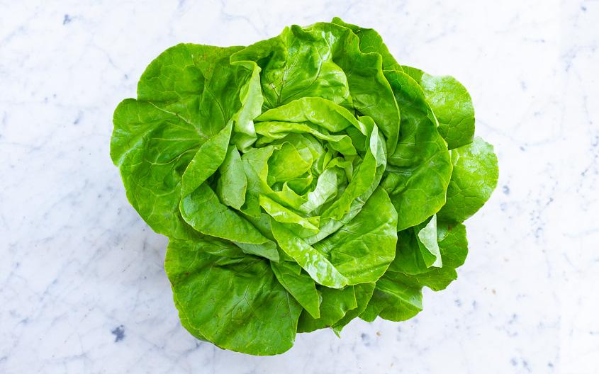 Salade laitue verte bio (pièce) Les légumes bio Nicolas - La Ferme des 4 vents - Hem