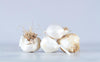 Ail blanc bio (100g) Les légumes bio Michel Delille - Ferme des Blancs Moutons - Arleux