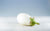 Aubergine blanche bio (500g) Les légumes bio Basile et Octave - La ferme du Recueil - Villeneuve-d'Ascq