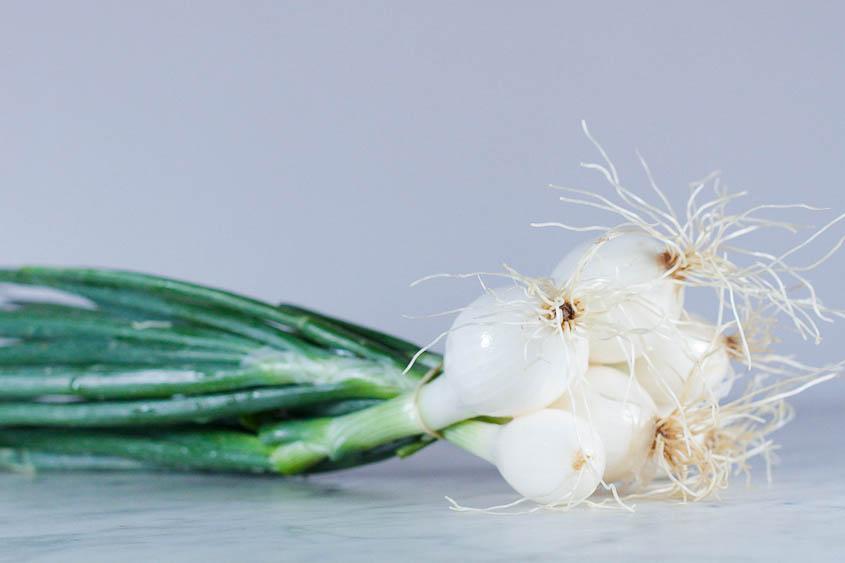 Oignons blancs bio (botte de 5) Les légumes bio Philippe Lallau - Bailleul