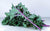 Chou kale pourpre bio (500g) Les légumes bio Basile et Octave - La ferme du Recueil - Villeneuve-d'Ascq