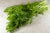 Moutarde verte bio (bouquet) Les légumes bio Dries Delanote - Le monde des mille couleurs - Dikkebus Belgique