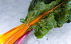 Blettes colorées bio (500g) Les légumes bio Lomme Primeurs Bio - Lomme