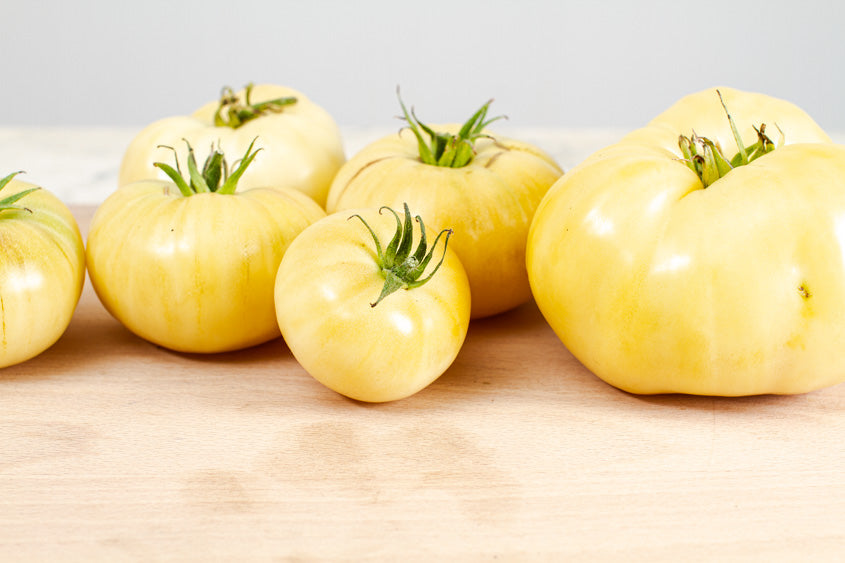 Tomates anciennes bio beauté blanche (800g) Les légumes bio Guillaume Pinte - Arleux en gohelle