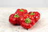 Poivrons rouge tomates bio (500g) Les légumes bio Guillaume Pinte - Arleux en gohelle
