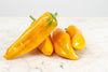 Poivrons jaune corne de taureau bio (500g) Les légumes bio Guillaume Pinte - Arleux en gohelle