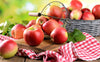 Panier de pommes bio (pièce) Les fruits bio Benoit Outters - Vergers biologiques - Wallon-Cappel