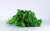 Persil frisé bio (bouquet) Les légumes bio Dries Delanote - Le monde des mille couleurs - Dikkebus Belgique