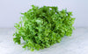Salade frisée bio (pièce) Les légumes bio Nicolas - La Ferme des 4 vents - Hem