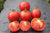 Tomates roses bio (800g) Les légumes bio Pierre Olivier - Wavrin