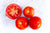 Tomates rondes bio (800g) Les légumes bio Dries Delanote - Le monde des mille couleurs - Dikkebus Belgique